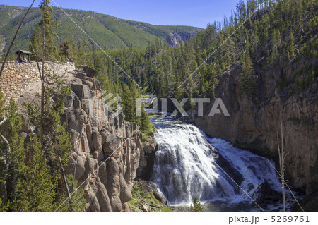 イエローストーン国立公園 5269761