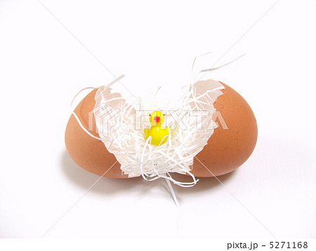 ひなの誕生 5271168