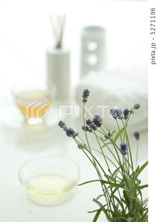 ラベンダーの花とアロマオイル ラベンダーの花とアロマオイル 5271196