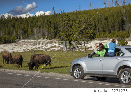 イエローストーン国立公園 5271273