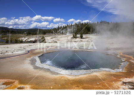 イエローストーン国立公園 5271320