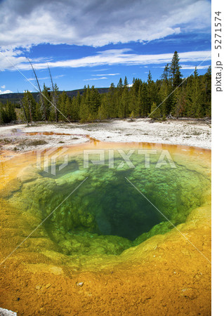 イエローストーン国立公園 イエローストーン国立公園 5271574