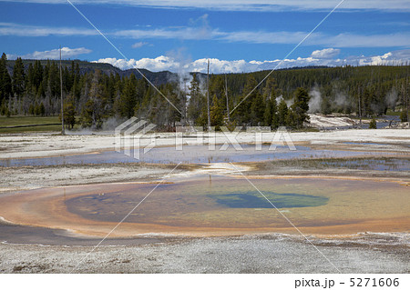 イエローストーン国立公園 5271606