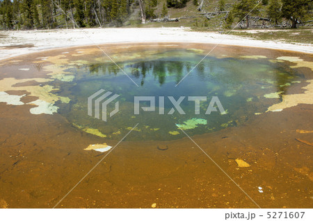 イエローストーン国立公園 5271607