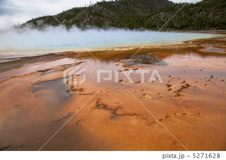 イエローストーン国立公園　 5271628