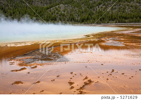 イエローストーン国立公園 イエローストーン国立公園 5271629