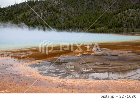 イエローストーン国立公園　 5271630