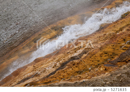 イエローストーン国立公園　 5271635