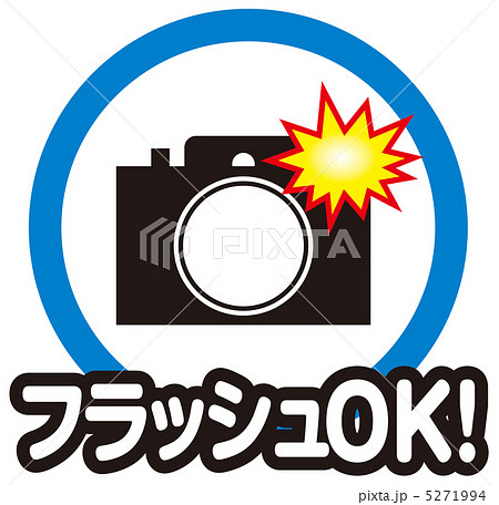 フラッシュOK-1 5271994