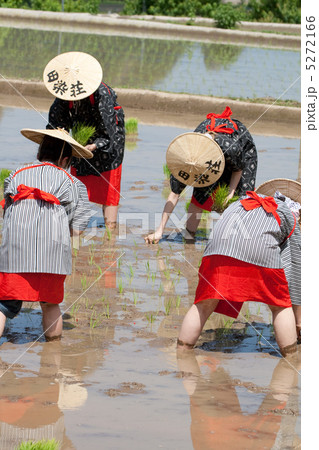 御田植祭 御田植祭 5272166