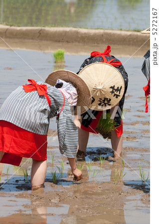 御田植祭 御田植祭 5272167