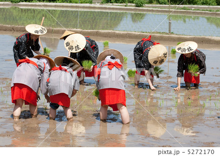 御田植祭 5272170
