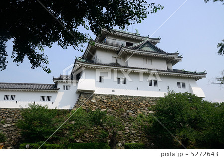 和歌山城　天守閣　 5272643