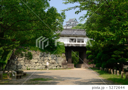 和歌山城　岡口門 5272644