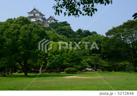 西の丸広場から和歌山城を望む 5272648