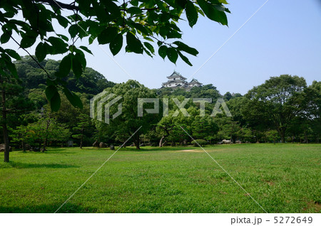 西の丸広場から和歌山城を望む 5272649