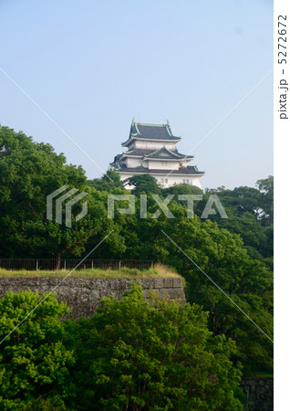 和歌山城(岡山の時鐘堂より) 5272672