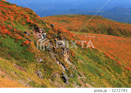 神の絨毯 日本一美しい山岳紅葉で知られる花の百名山、栗駒山(須川岳) 神の絨毯 日本一美しい山岳紅葉で知られる花の百名山、栗駒山(須川岳) 5272765