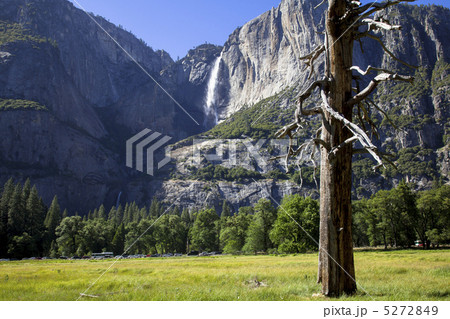 ヨセミテ滝　ヨセミテ国立公園　 5272849