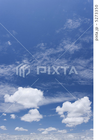 初夏の夏空 初夏の夏空 5273350