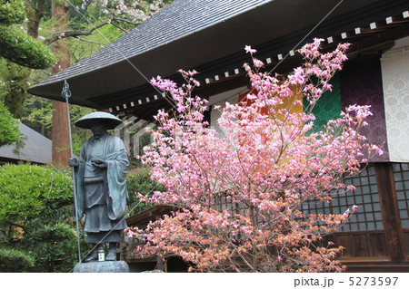 大悲願寺 大悲願寺 5273597