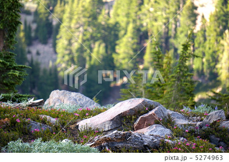 ラッセン2 ラッセン2 5274963