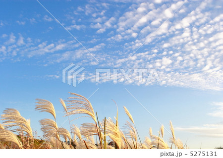 秋の風景 5275131