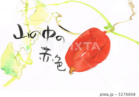 山の中の赤色 5276608