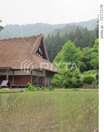 白川郷 茅葺き 水田 白川郷 茅葺き 水田 5277276