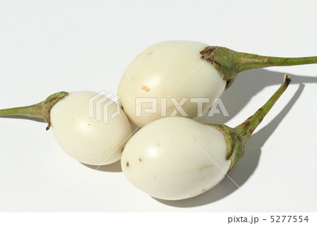 シロナス　タイ野菜　タイ食材　タイ王国　　 5277554