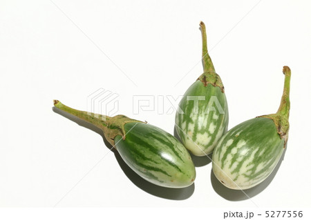 ナス　タイ野菜　タイ食材　タイ王国　　 5277556