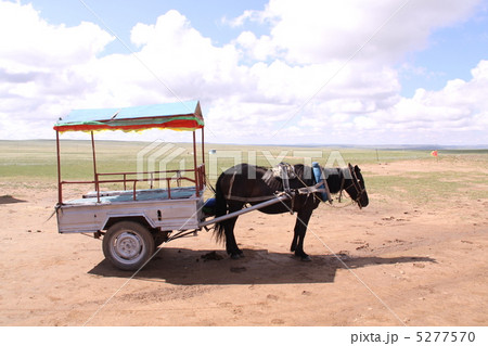 馬車2 馬車2 5277570