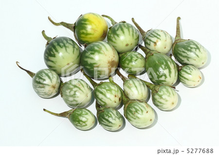 ナス タイ野菜 タイ王国 ナス タイ野菜 タイ王国 5277688