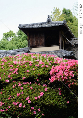 初夏の詩仙堂、サツキと嘯月楼 初夏の詩仙堂、サツキと嘯月楼 5279182