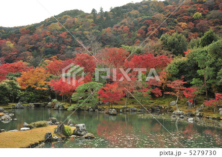 京都　天龍寺の曹源池庭園 5279730