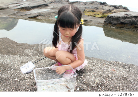 磯遊びをする女の子 磯遊びをする女の子 5279767