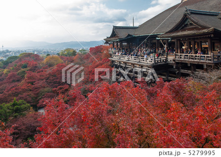 清水寺　清水の舞台 5279995