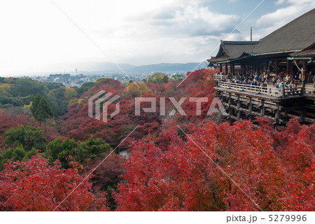 清水寺 清水の舞台 清水寺 清水の舞台 5279996