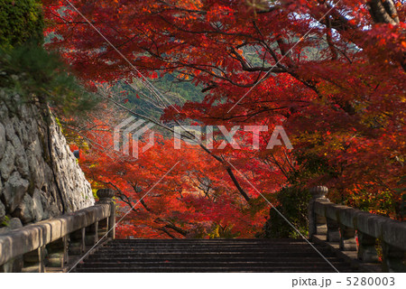 清水寺 錦雲渓 清水寺 錦雲渓 5280003