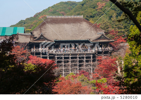 清水寺　清水の舞台 5280010