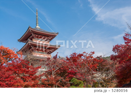 清水寺　三重塔 5280056