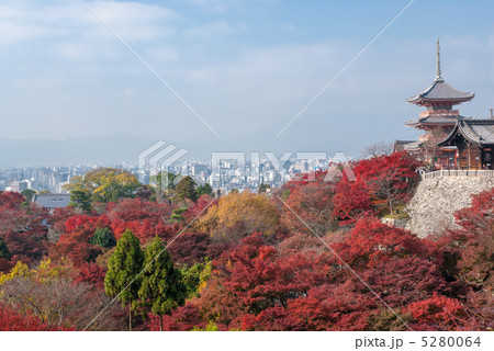 清水寺　三重塔 5280064