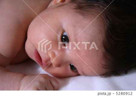 生後1ヶ月 うつぶせ アップの写真素材 生後1ヶ月 うつぶせ アップの写真素材