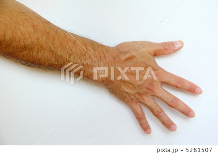 腕の毛 5281507