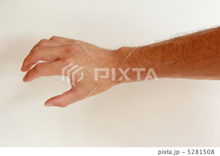腕の毛 腕の毛 5281508