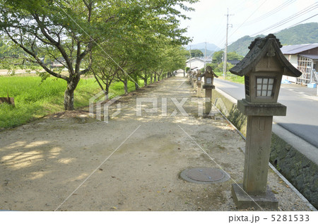 神魂神社の参道 5281533