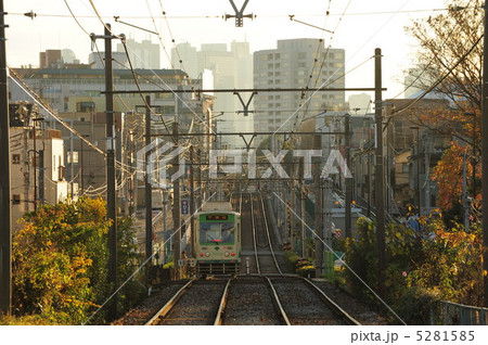 秋の夕暮れ　副都心を背に走る都電荒川線 5281585