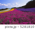 花畑 5281810