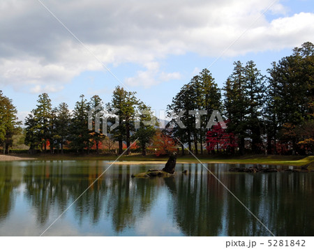 秋の毛越寺 5281842
