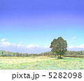 blue 5282098